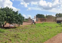 Carro alugado em SP é abandonado com homem morto no banco traseiro