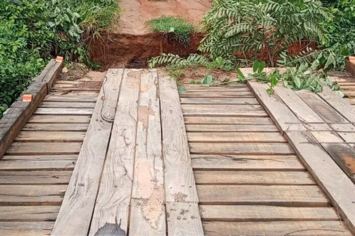 whatsapp-image-2026-02-03-at-11.02.35-_1_ (1)