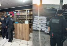 PF apreende vapes e encontra fábrica clandestina durante operação em Campo Grande