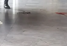 Suspeito morre durante confronto com a polícia no Jardim Carandá em Três Lagoas