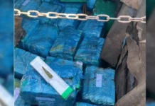 PRF e PF apreendem quase 1,5 tonelada de maconha na divisa entre MS e Paraná