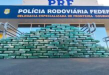 Nervosismo de motorista leva PRF a encontrar 309 kg de cocaína escondidos em caminhão em MS