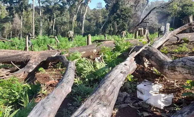 1oj9b9muewef0