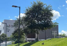 Explosão ao acender churrasqueira com álcool mata menino de 3 anos