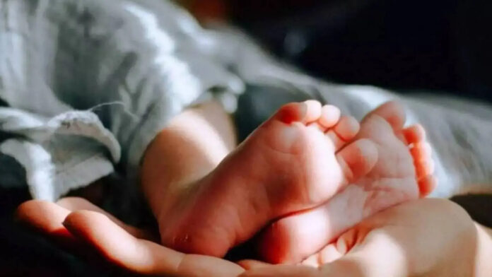 bebe-1-1536x864.jpeg