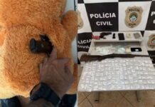 Polícia encontra arma escondida em urso de pelúcia durante operação em MS; 5 são presos