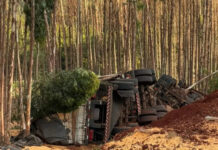 Motorista de carreta fica preso às ferragens e morre em acidente na MS-388