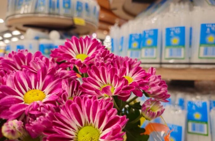 flores